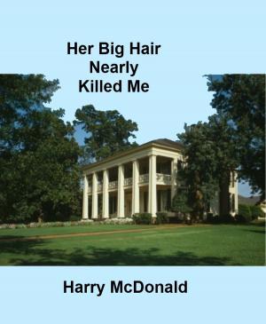 Book cover of Her Big Hair Nearly Killed Me