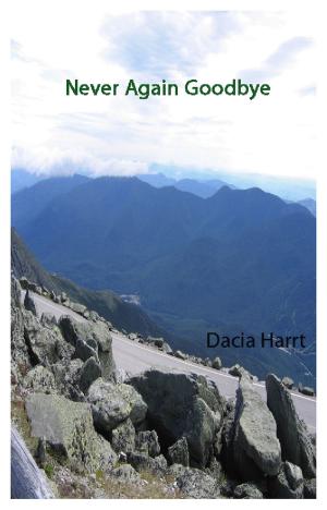 Cover of the book Never Again Goodbye by Joan See