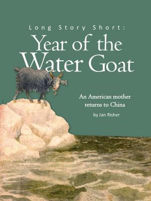 Cover of the book Long Story Short: Year of the Water Goat by Liisa Vexler