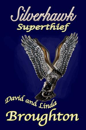 Cover of the book Silverhawk, Superthief by David and Linda Broughton