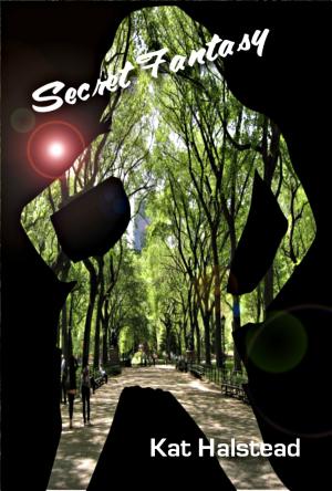 Cover of Secret Fantasy