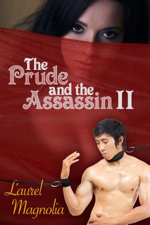 Cover of The Prude and the Assassins II