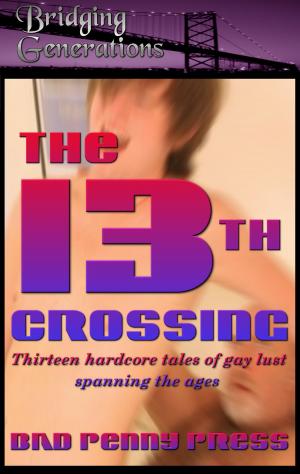 Cover of the book The 13th Crossing by Bad Penny Press