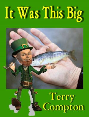 Cover of the book It Was This Big by Terry Compton