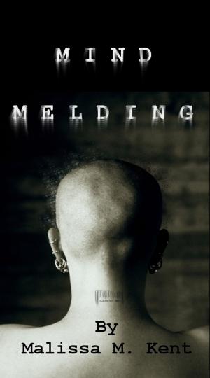 Cover of the book Mind Melding by Samuel Marolla