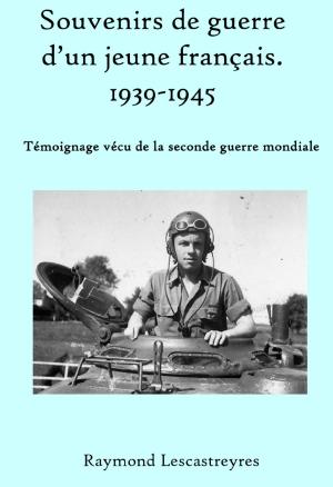 Book cover of Souvenirs de guerre d’un jeune français.