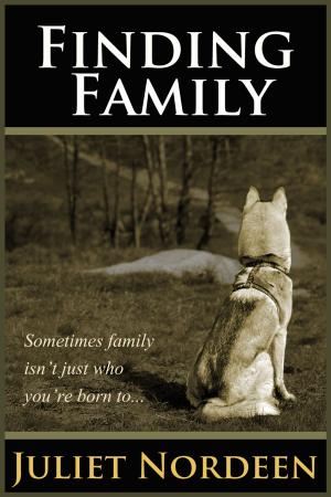 Cover of the book Finding Family by Terry L. Craig