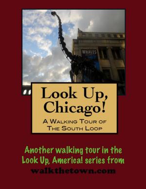 Cover of Look Up, Chicago! A Walking Tour of The Loop (South End)