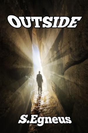 Cover of the book Outside by James Shipway