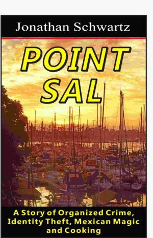 Cover of Point Sal: A Story of Organized Crime, Identity Theft, Mexican Magic and Cooking