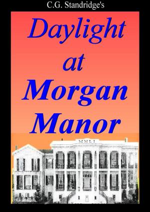 Cover of the book Daylight at Morgan Manor by Joan Larkin