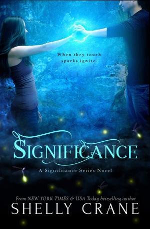 Book cover of Significance