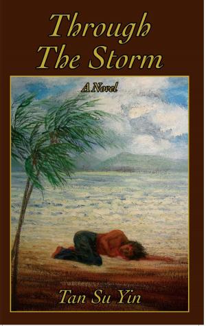 Cover of the book Through The Storm by Kenneth Igiri