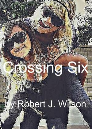 Book cover of Crossing Six