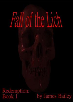 Cover of the book Fall of the Lich by Robert Moons