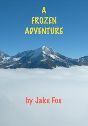 Cover of the book A Frozen Adventure by S Anders