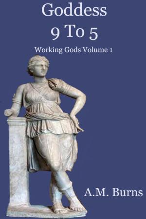 Book cover of Goddess 9 to 5