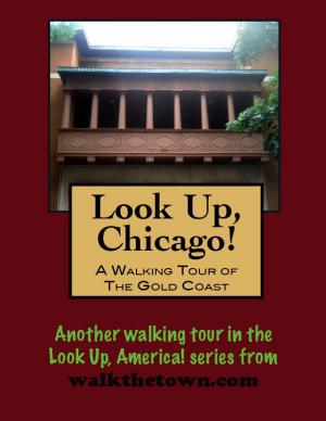 Book cover of Look Up, Chicago! A Walking Tour of the Gold Coast
