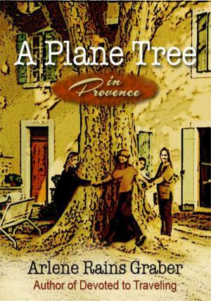 Book cover of A Plane Tree in Provence