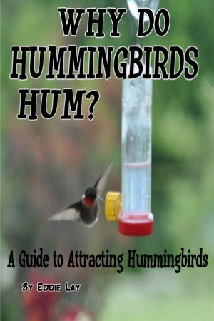 Cover of the book Why Do Hummingbirds Humm? by Colin Goldman