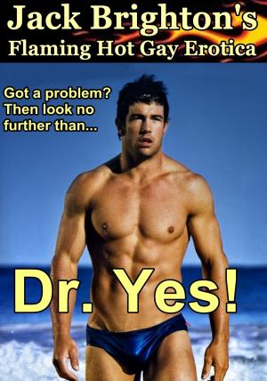Cover of the book Dr. Yes! by M. R. Greer