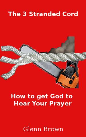 bigCover of the book The 3 Stranded Cord:Getting God to Hear Your Prayer by 