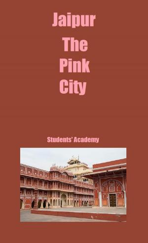 Book cover of Jaipur-The Pink City