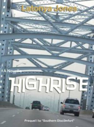 bigCover of the book HIGH RISE (A Novella) by 