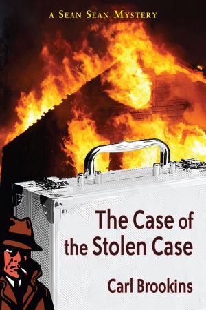 Book cover of The Case of the Stolen Case
