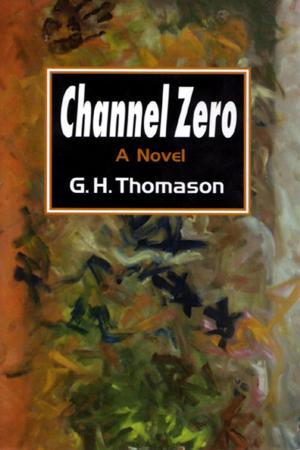 Cover of the book Channel Zero by B.L. Newport