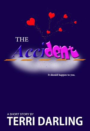 Cover of the book The Accident by Ade Capone, Alfredo Orlandi