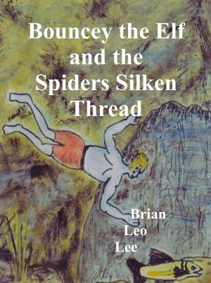 Book cover of Bouncey the Elf and the Spiders Silken Thread