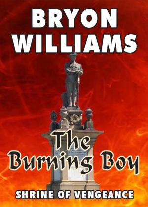 Book cover of The Burning Boy