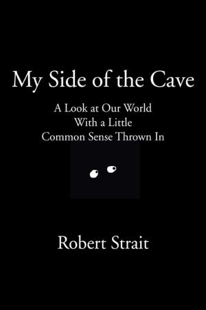 Cover of the book My Side of the Cave A Look at Our World With a Little Common Sense Thrown In by Edwin W. Biederman, Jr.