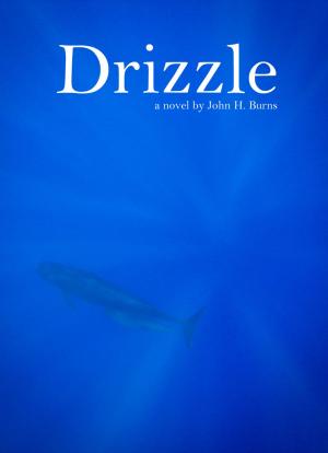 Cover of the book Drizzle by Stephen Clark Reese