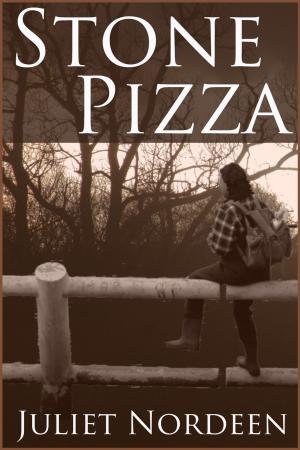Cover of the book Stone Pizza by Jeff Reed