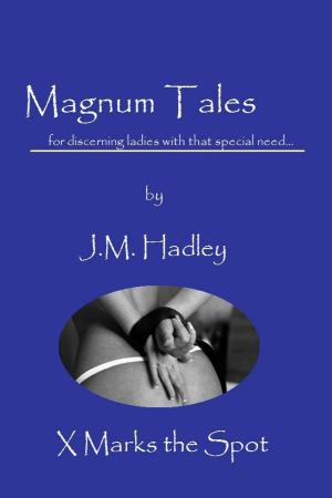 Cover of the book Magnum Tales ~ X Marks the Spot by J.M. Hadley