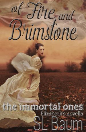 Cover of Of Fire and Brimstone (The Immortal Ones - Elizabeth's Novella)