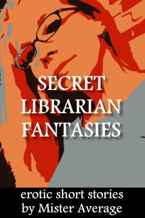 Cover of the book Secret Librarian Fantasies by Megan Taylor