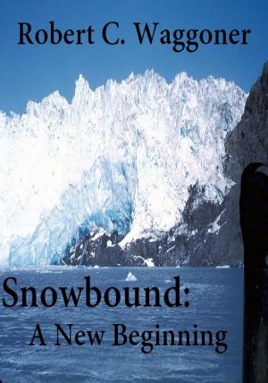 Book cover of Unearthly Snowbound