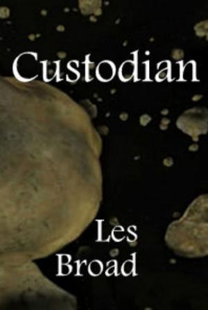 Cover of the book Custodian by J. Channing