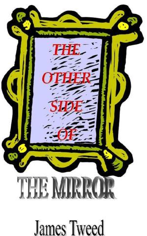 Cover of the book The Other Side Of The Mirror by Eulálio Cohim Hereda de Freitas