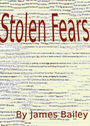 Cover of the book Stolen Fears by J.D. Peterson