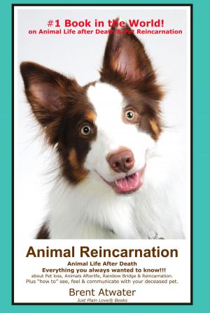 Book cover of Animal Reincarnation & Animal Life after Death: Answers for your Heart’s Questions!