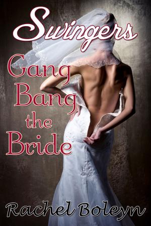 Cover of the book Swingers: Gang Bang the Bride by Sparkle T.