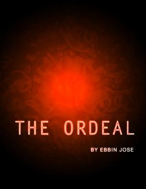 Cover of the book The Ordeal by Kelly McClymer, L.L. Bartlett, Shirley Hailstock