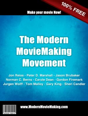 bigCover of the book The Modern Moviemaking Movement by 