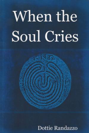 Cover of the book When the Soul Cries by Gabi Rupp