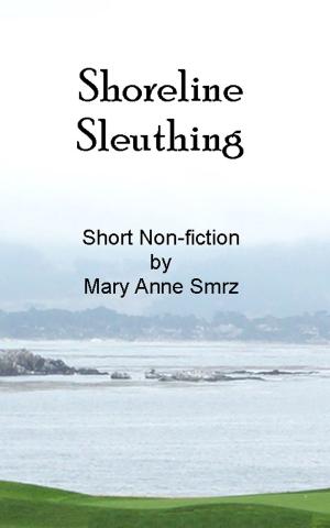 Book cover of Shoreline Sleuthing