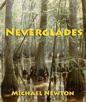 Book cover of Neverglades